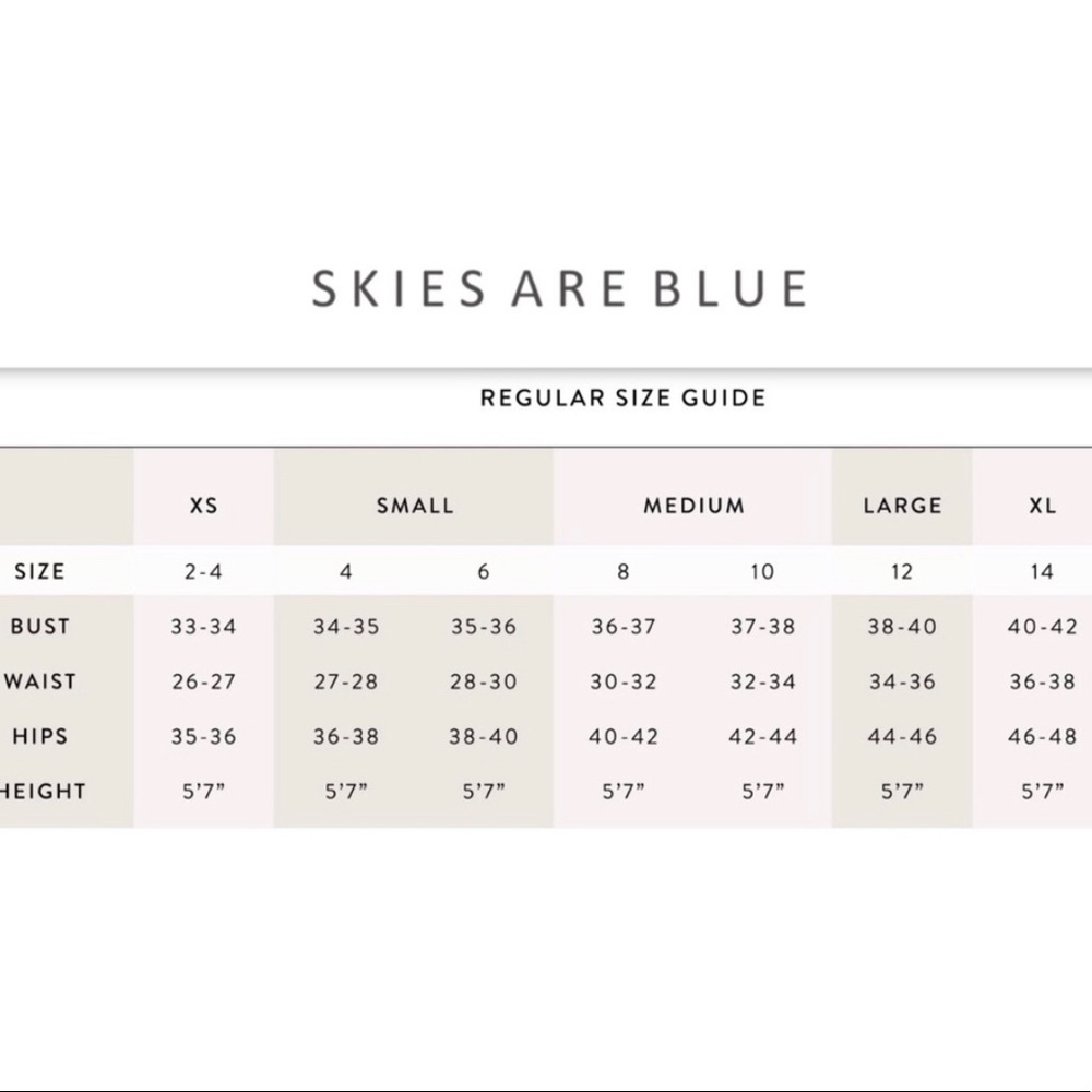 ‼️SOLD‼️Skies Are Blue Embroidered Dress Large - Picture 6 of 6